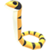 Yellow-lipped Sea Krait  - Uncommon from Southeast Asia Egg